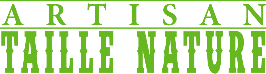 Taille arbustes Saint-Bruno