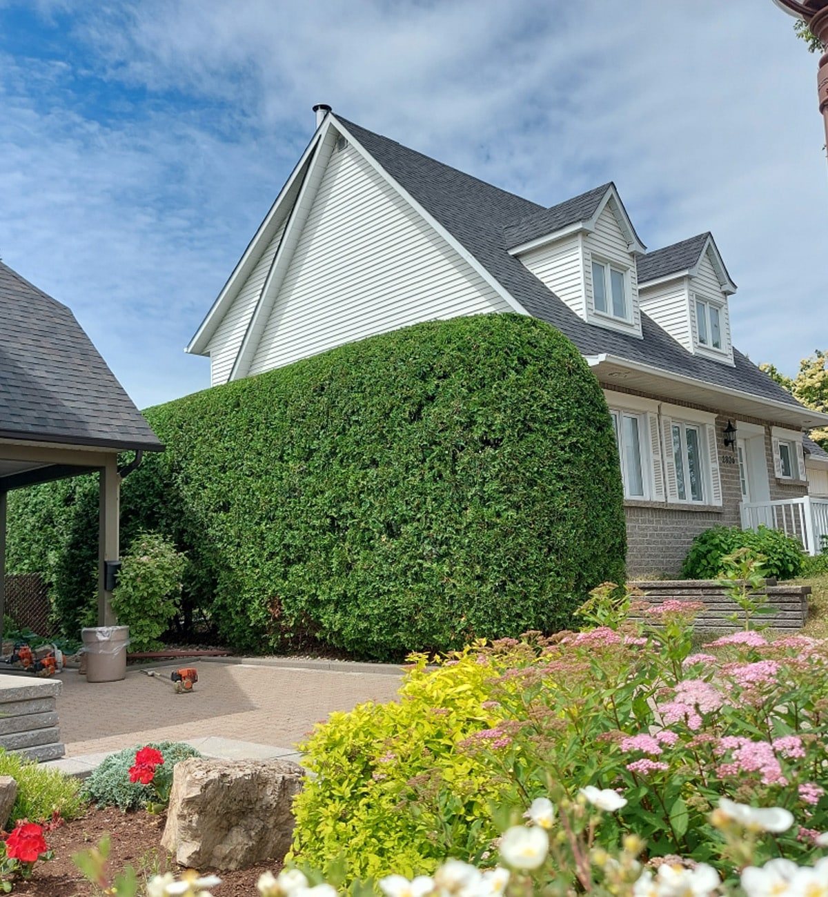 Taille de haies Saint-Bruno